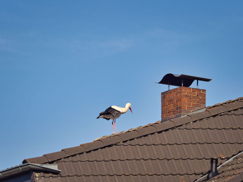 20220301193404-cf00cb9b