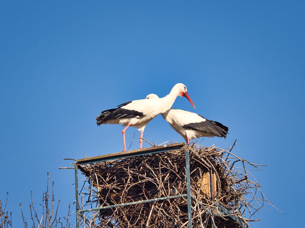 20220301193404-d237034f