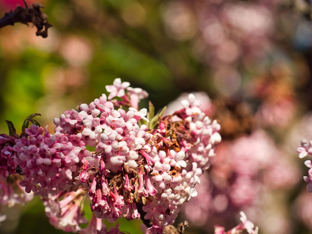 20220301193405-70ae5ee1