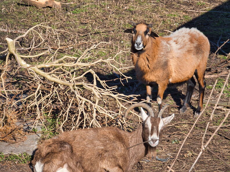 20220301193406-a33df7e8