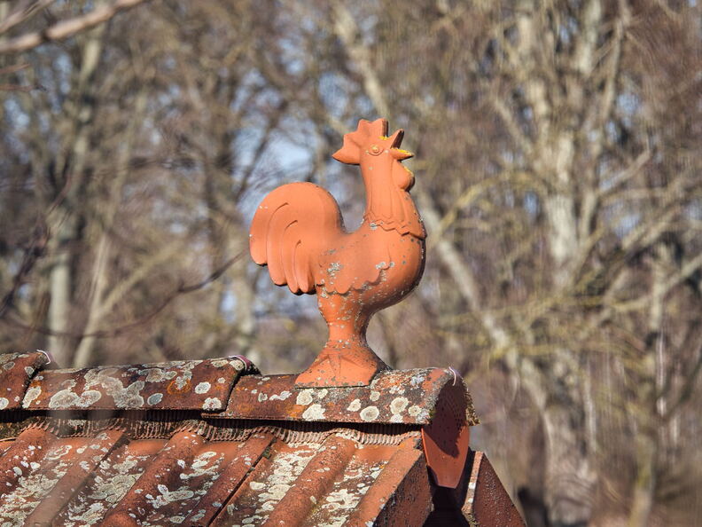 20220301193406-e0f491a5