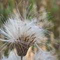 P7240017