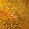 P7240026