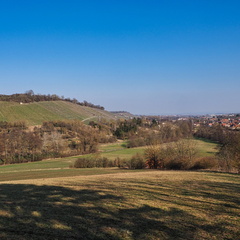 20220307165314-90d5bf4e