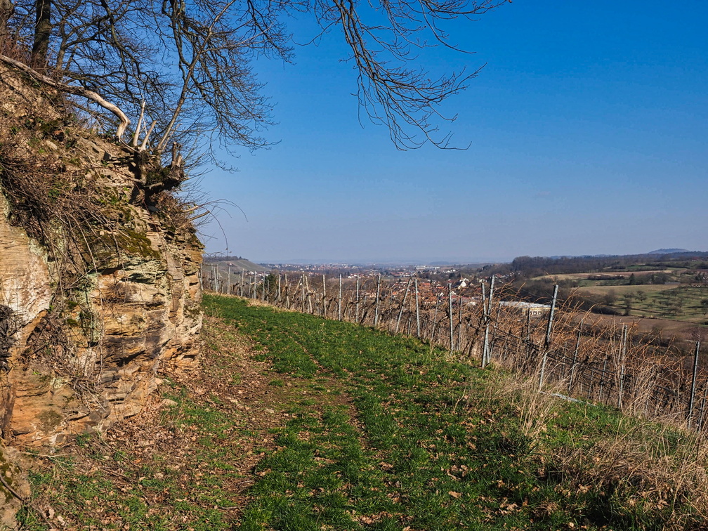 20220307165315-1236c8a8