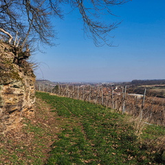 20220307165315-1236c8a8