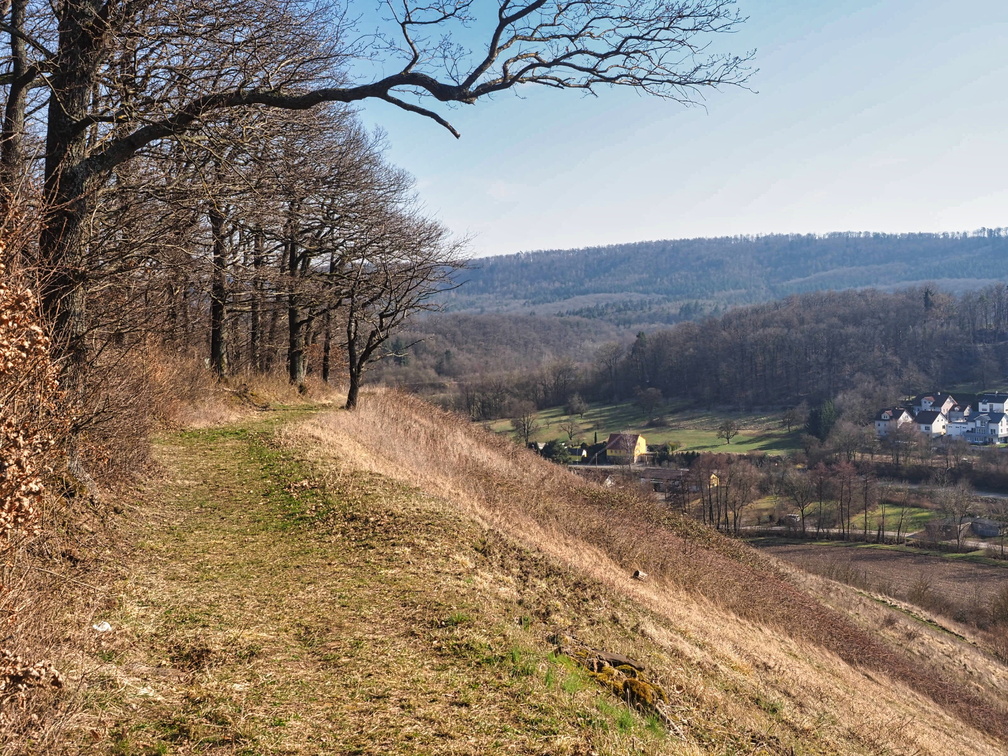 20220307165316-58001092