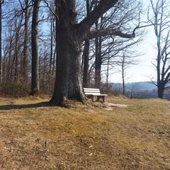 20220307165318-e14ed7c4