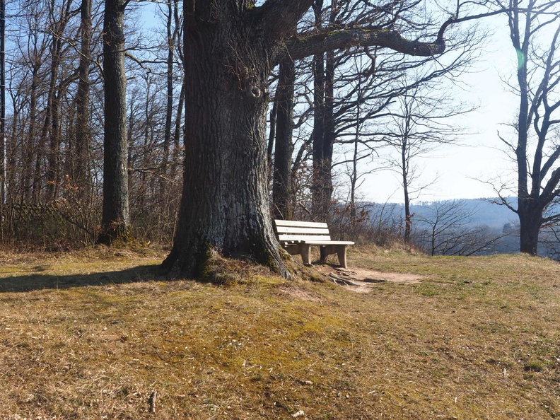 20220307165318-e14ed7c4