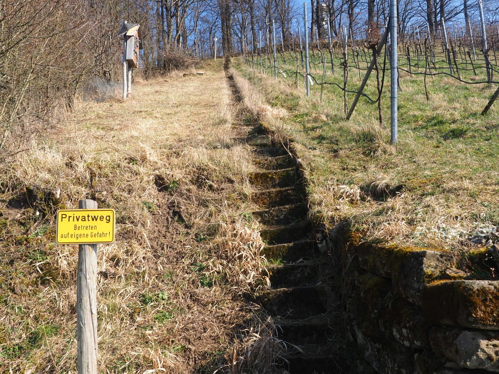 20220307165320-4c5a8629