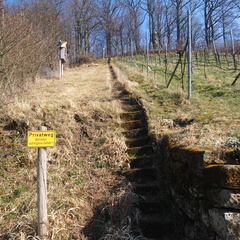 20220307165320-4c5a8629