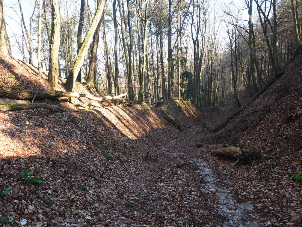 20220307165324-c23584fb