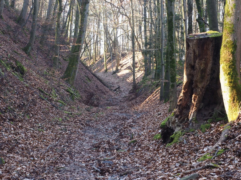 20220307165325-767bd582