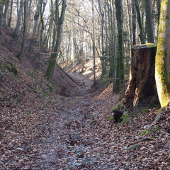 20220307165325-767bd582