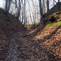 20220307165326-5deb3a04