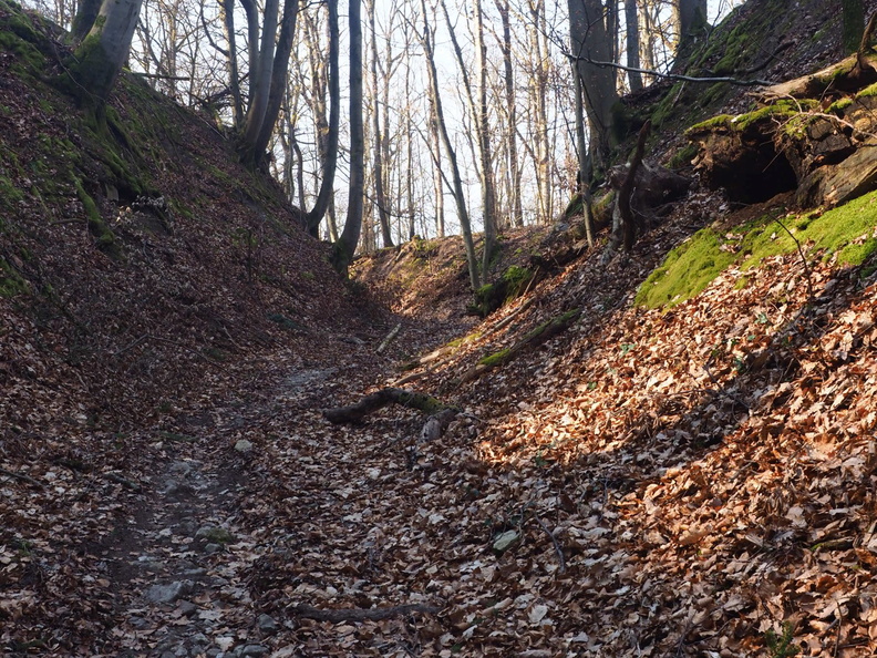 20220307165326-5deb3a04