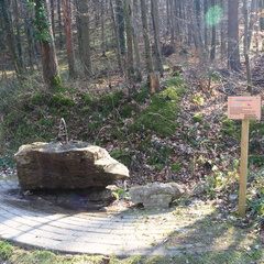 20220307165327-8789e3ba