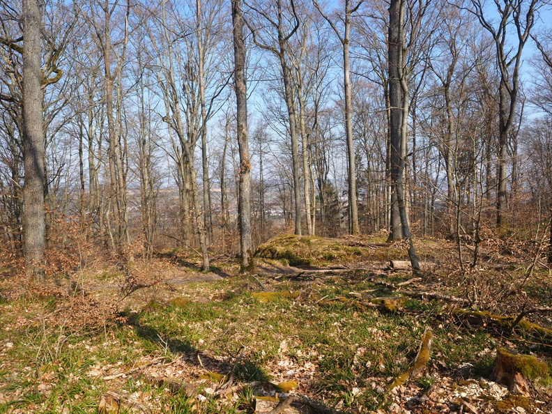 20220307165330-2d79dd1a