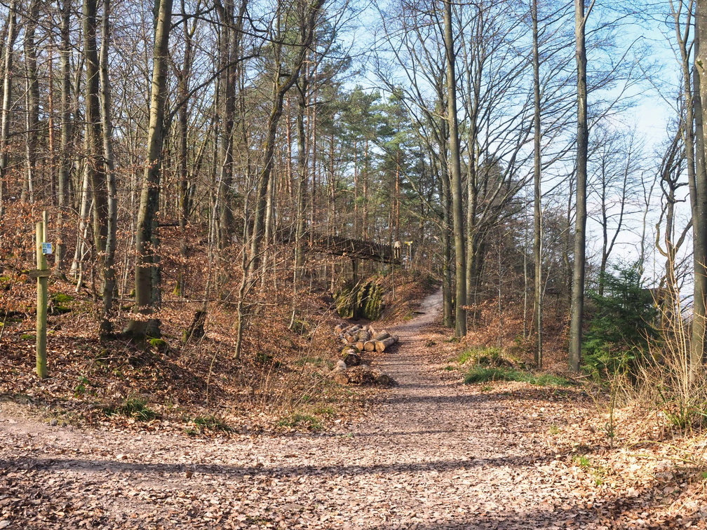 20220307165338-35a2ceb0