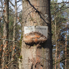 20220307165341-edd1b94b