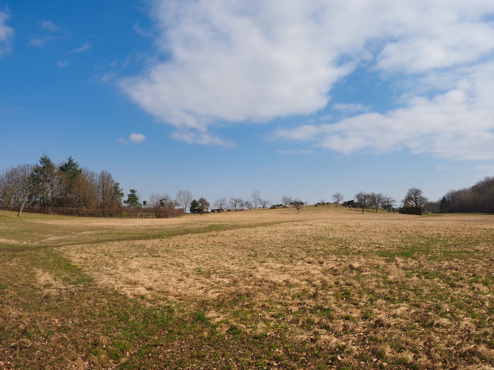 20220307165342-6f9f4a0b