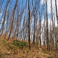 20220307165343-c3dde37a