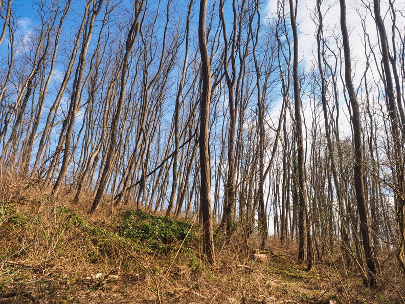 20220307165343-c3dde37a