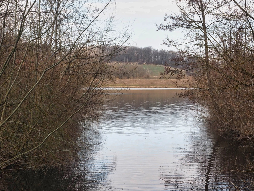 20220307165344-856b5f31