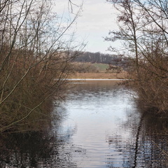 20220307165344-856b5f31