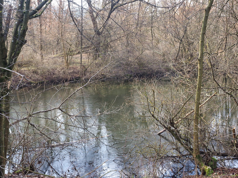 20220307165347-eb62c0e6