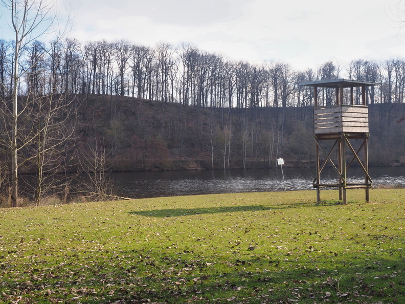 20220307165348-863a2ec1