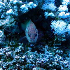 IMG-20231112-WA0019