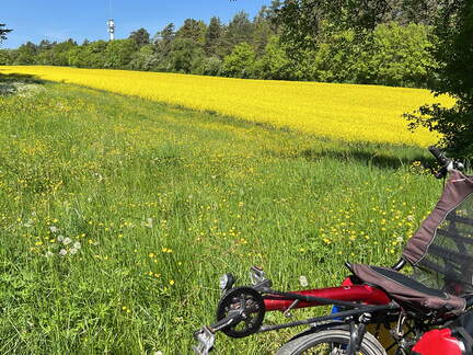 03786975-82C9-4576-B931-D06D866BB68D