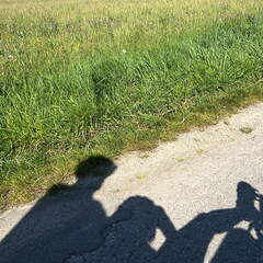 0B41D703-B06D-422A-86FE-1B0E6C9F8F4D