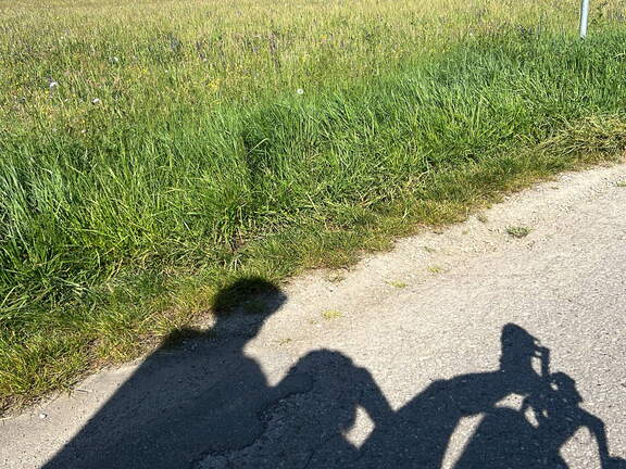 0B41D703-B06D-422A-86FE-1B0E6C9F8F4D