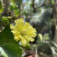 0C7D8087-3E1B-427D-8352-8DF951CA1C7A