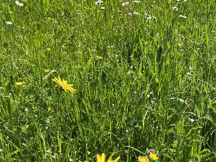 0F0A6F5A-54F3-4008-BBCB-6037F6DAEDA7