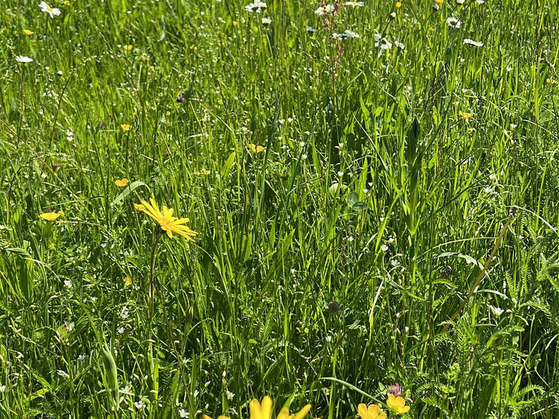 0F0A6F5A-54F3-4008-BBCB-6037F6DAEDA7