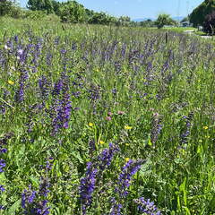 1776C2A6-05C6-4E4A-8324-424DA79B06CA