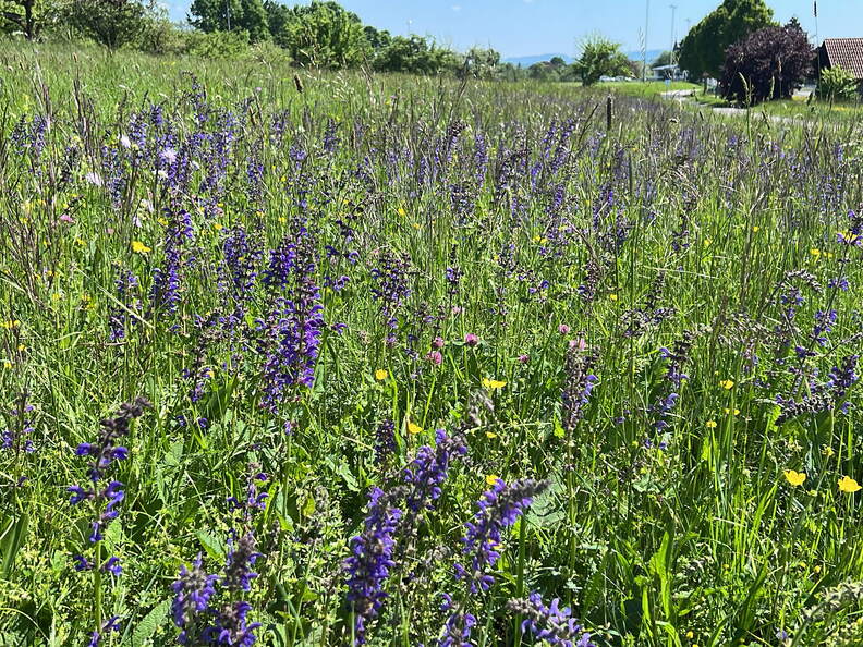 1776C2A6-05C6-4E4A-8324-424DA79B06CA