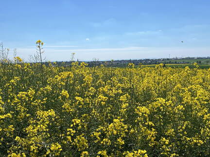 1CAAAA60-3AB9-45CA-82D0-C1F7EA689C18