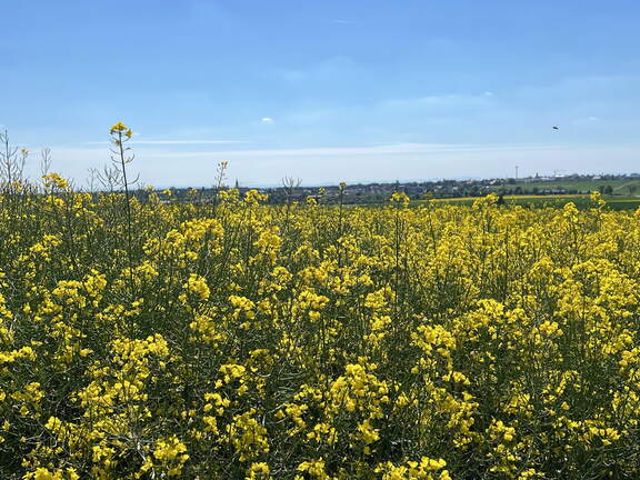 1CAAAA60-3AB9-45CA-82D0-C1F7EA689C18