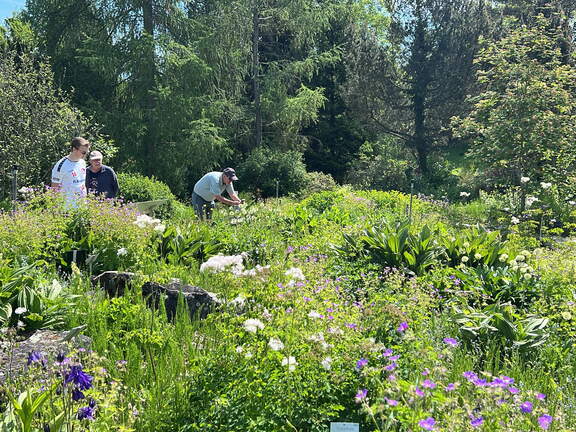 1ED5C362-72F0-43E0-8F8C-A36B85F92A5F