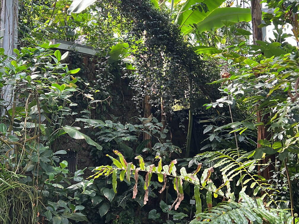 2C802E2B-47B3-46D0-B3D0-0FD5E6B234D6