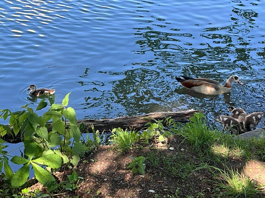 30EA9AF1-0BCD-44B7-9906-44B4AF0BB0BD