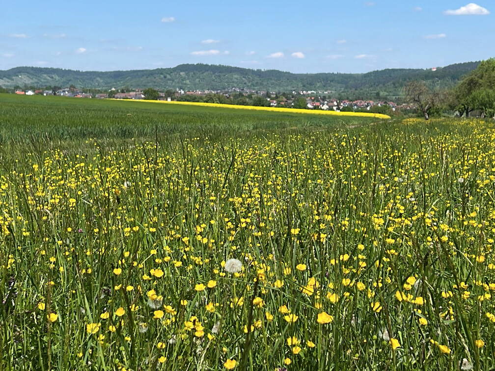 487382E8-8C8A-4340-A711-39F345435E31