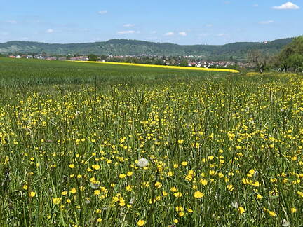 487382E8-8C8A-4340-A711-39F345435E31