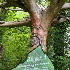 4BAB2AE8-04A9-477E-8C6C-2F487BA3B8D4