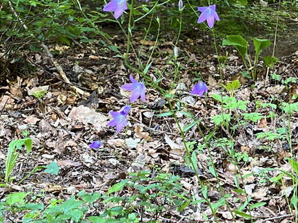 65E37513-9E2C-4CFA-823B-A676A3A75C2C