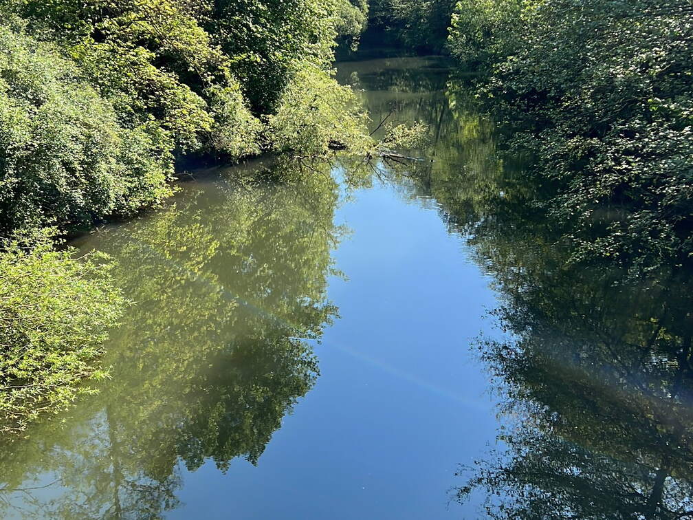 6D34AC79-8886-4E4C-A882-A16EF7599F81